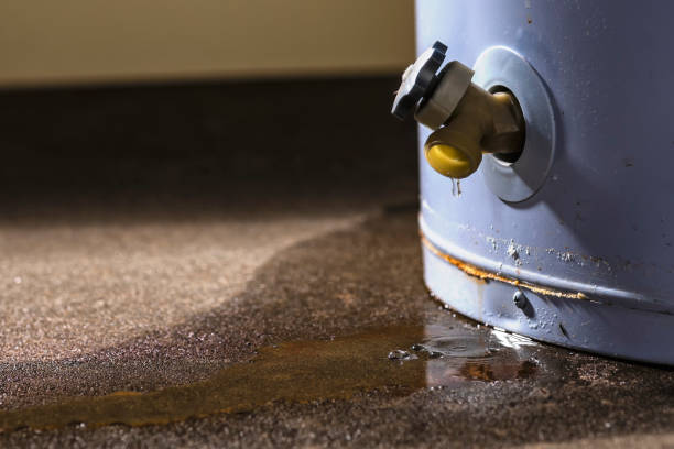 Best Professional water damage repair  in Cuyahoga Falls, OH