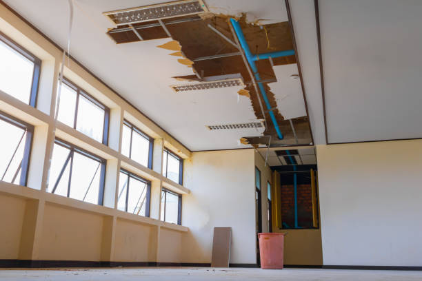 Best Mold removal after water damage  in Cuyahoga Falls, OH