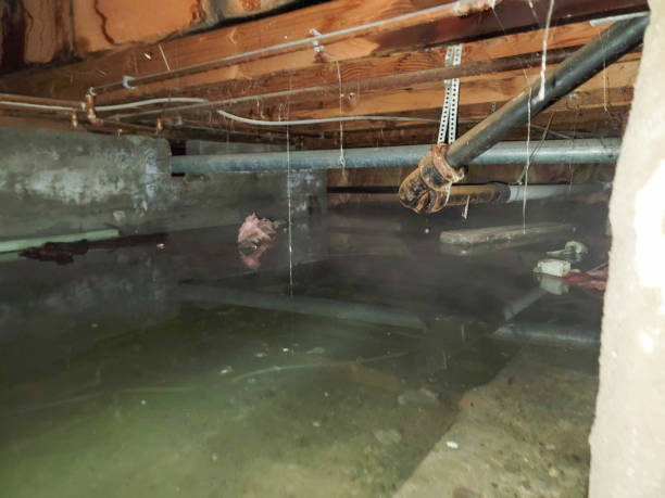 Best Water damage restoration near me  in Cuyahoga Falls, OH