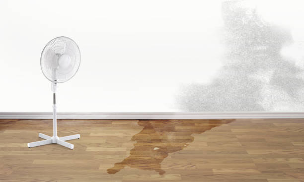 Best Residential water damage restoration  in Cuyahoga Falls, OH