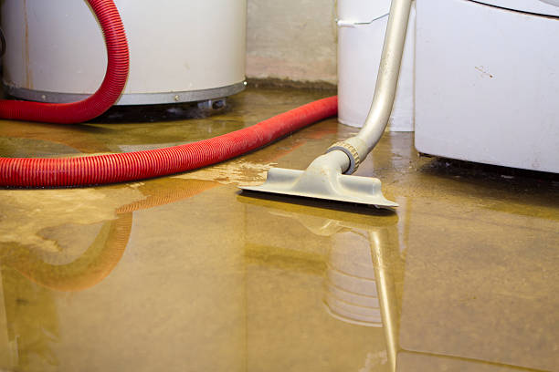 Best Ceiling water damage repair  in Cuyahoga Falls, OH
